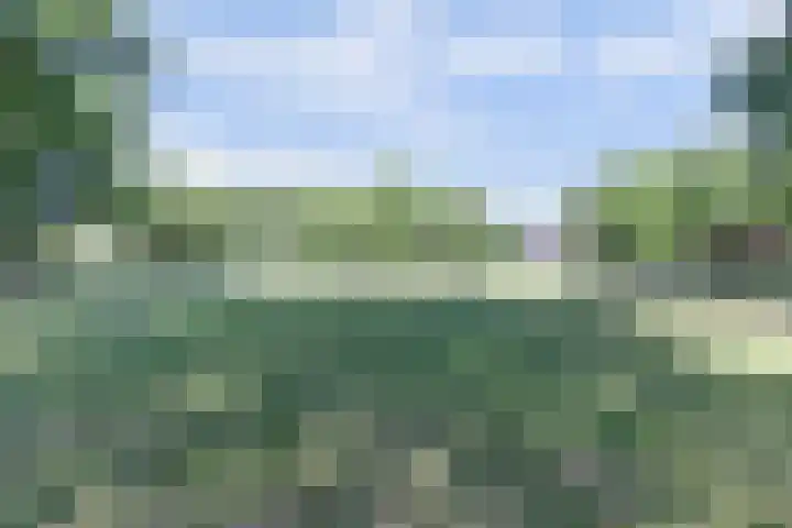 Orpheuspad 23 Amersfoort thumbnail 41