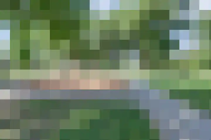 Orpheuspad 23 Amersfoort thumbnail 42