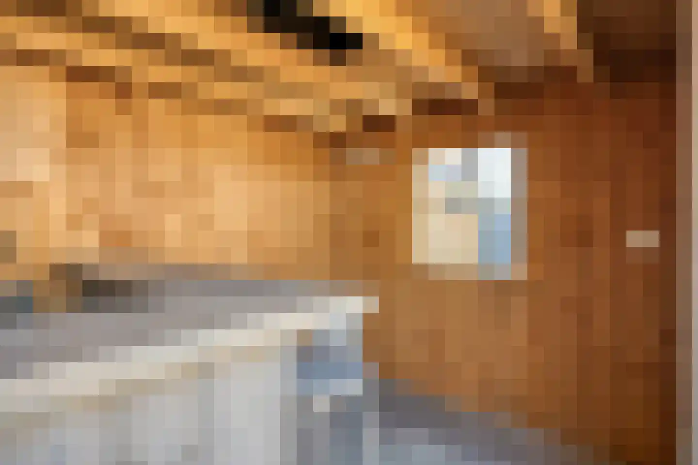 Orpingtonlaan 28 Barneveld thumbnail 34