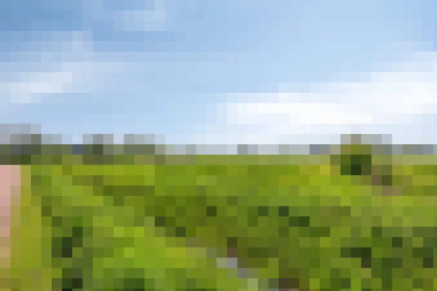 Orpingtonlaan 28 Barneveld thumbnail 38