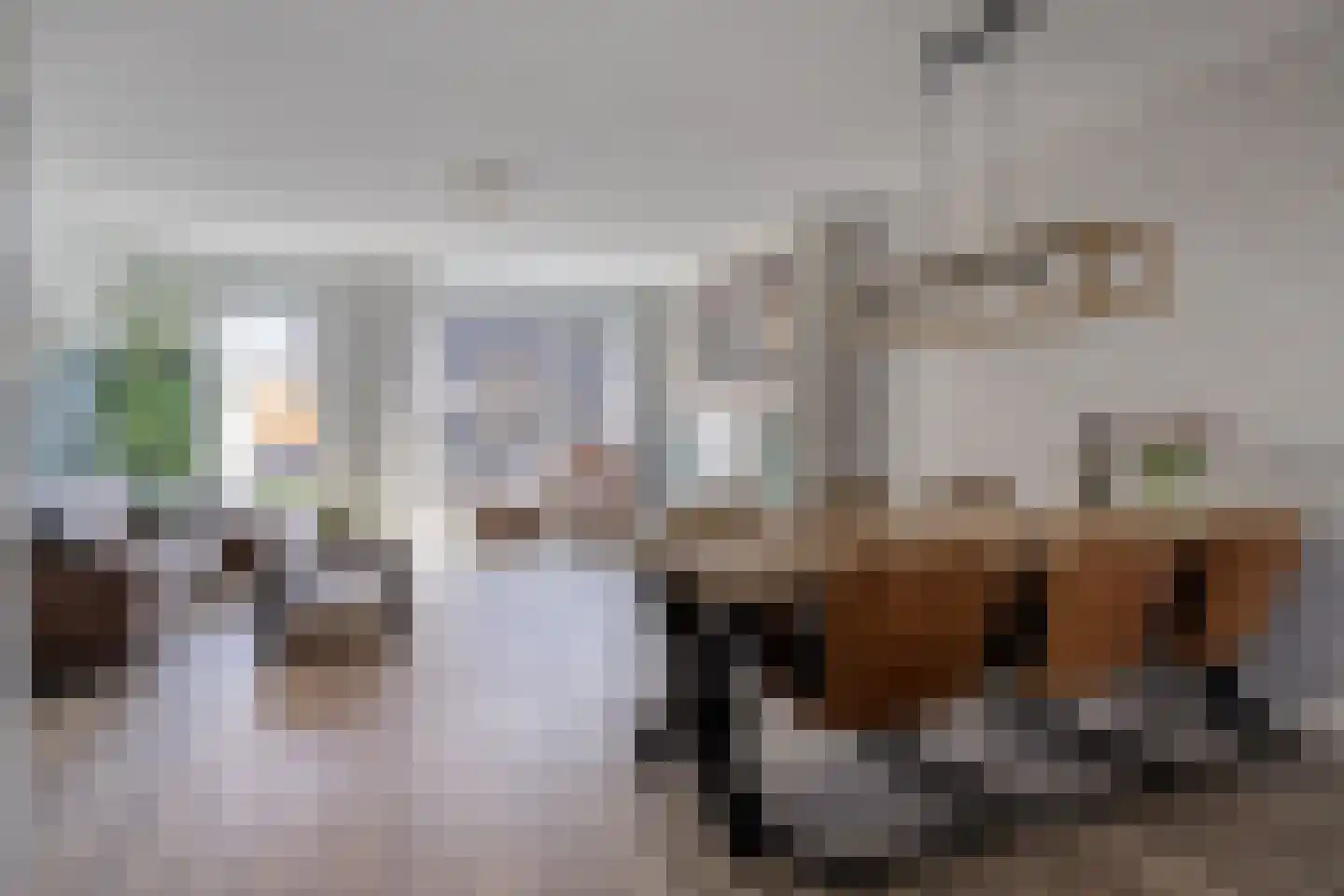 Orpingtonlaan 28 Barneveld thumbnail 6