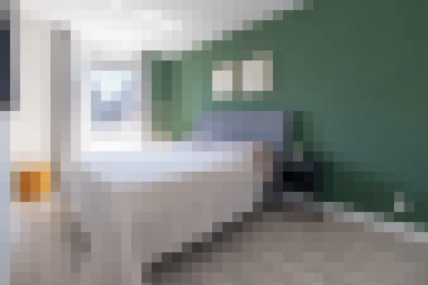 Orpingtonlaan 3 Barneveld thumbnail 19