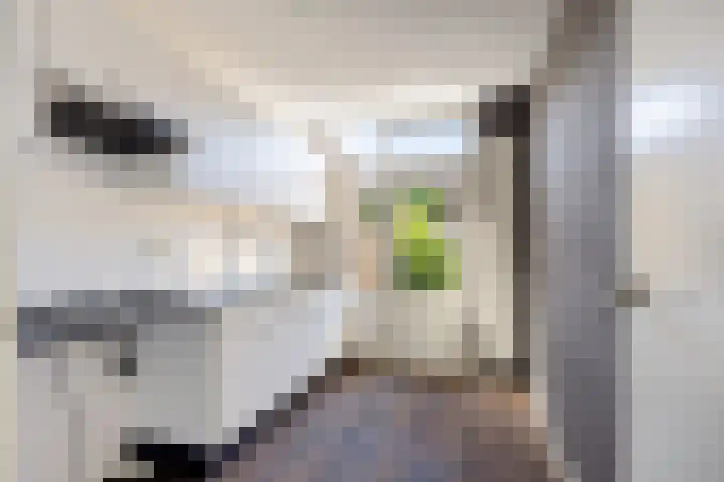 Orseleindstraat 80 Oss thumbnail 4
