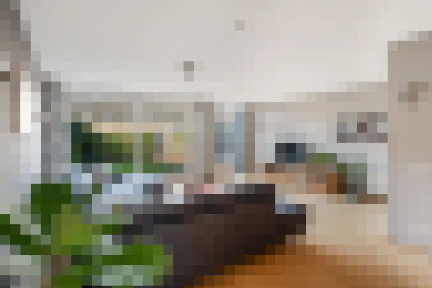 Orteliusdreef 32 Bergschenhoek thumbnail 16