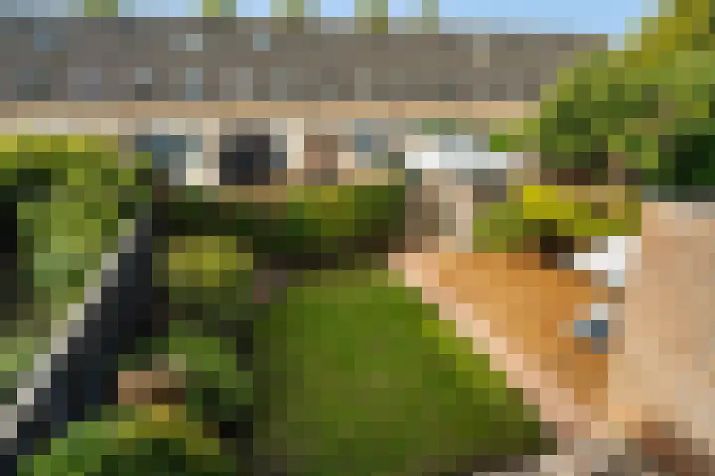 Orteliusdreef 32 Bergschenhoek thumbnail 28