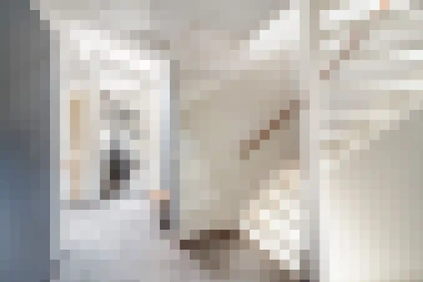 Orteliusdreef 32 Bergschenhoek thumbnail 32