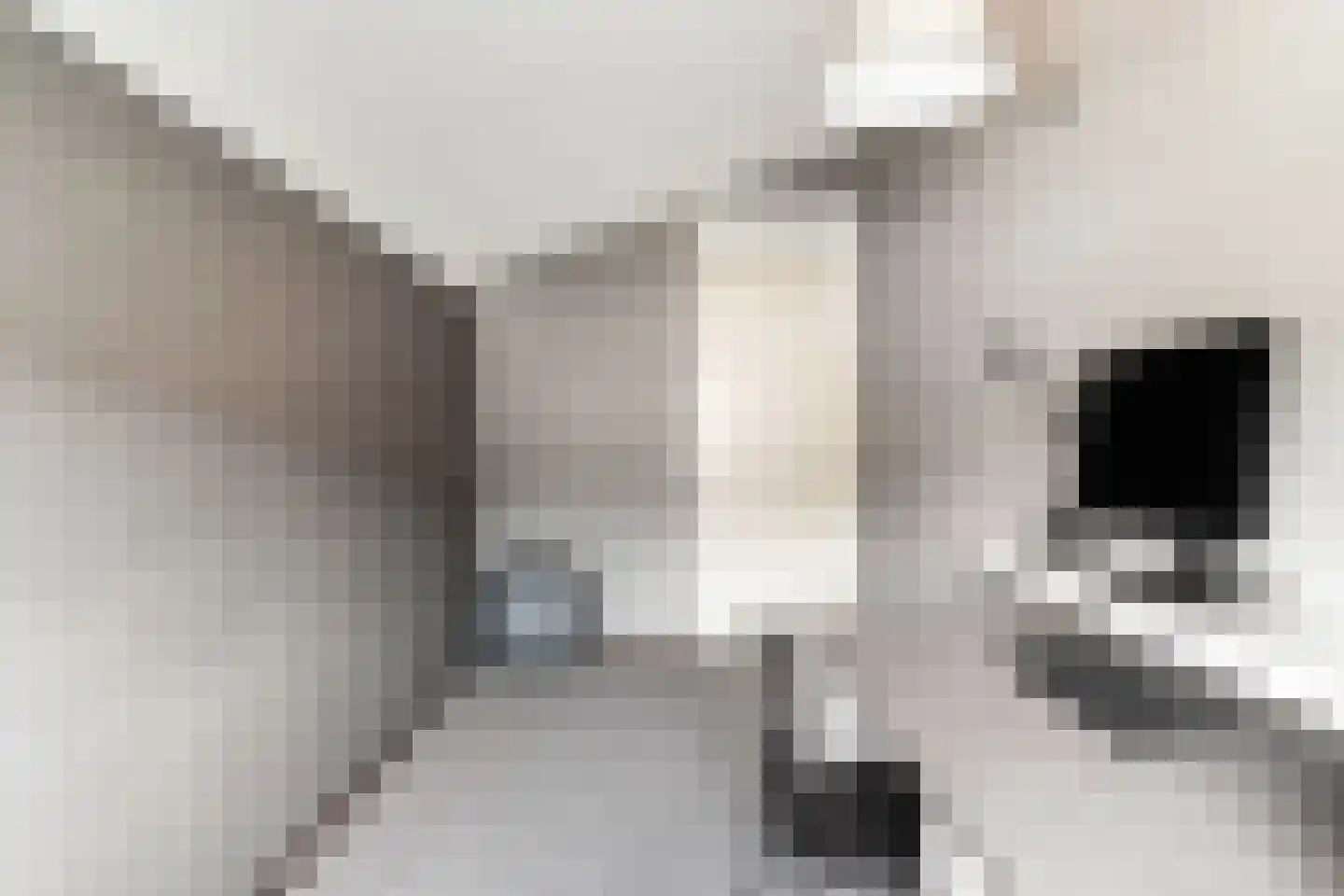 Orteliusdreef 32 Bergschenhoek thumbnail 42