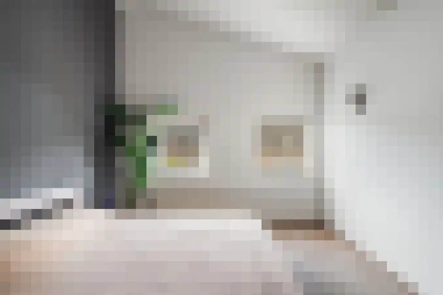 Orteliusdreef 32 Bergschenhoek thumbnail 5