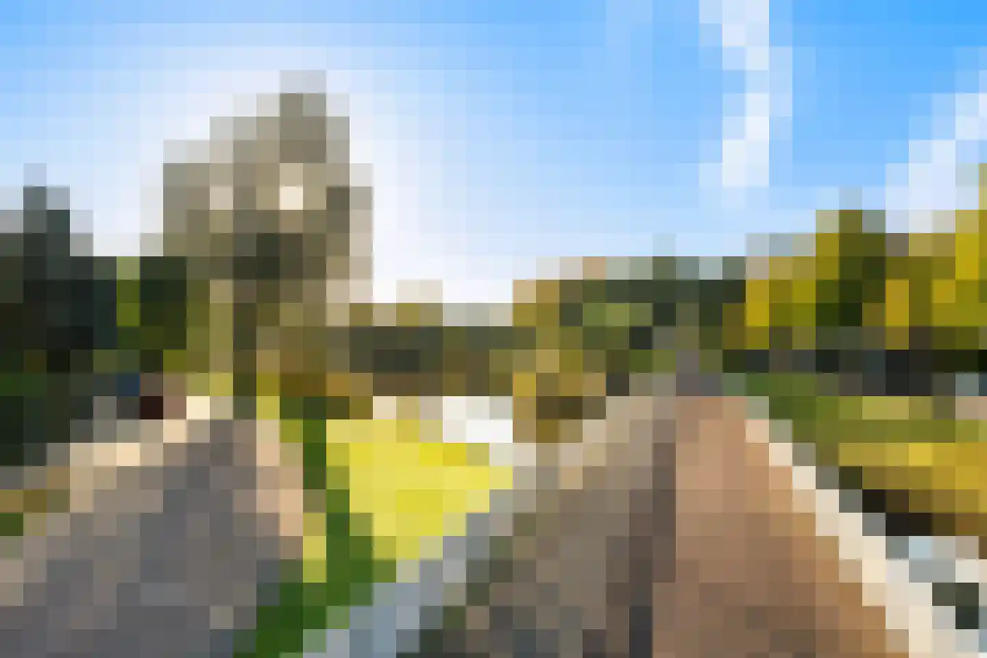 Orteliusdreef 32 Bergschenhoek thumbnail 52