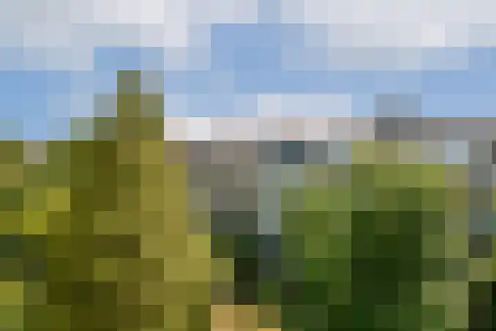 Orteliuskade 10 1 Amsterdam thumbnail 15