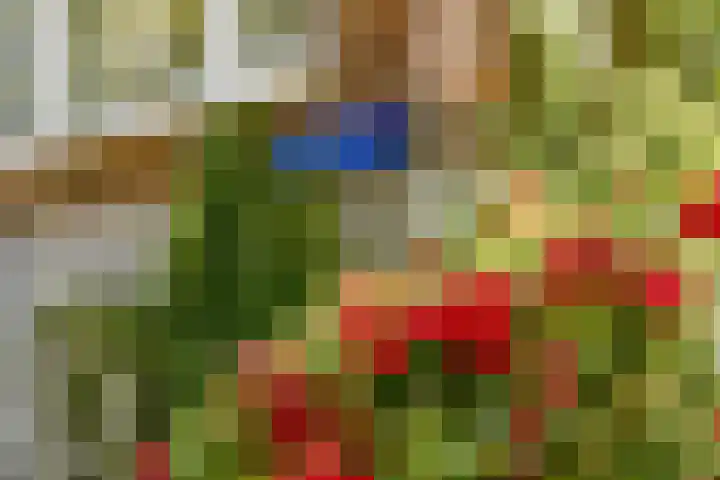 Orteliuskade 10 1 Amsterdam thumbnail 17