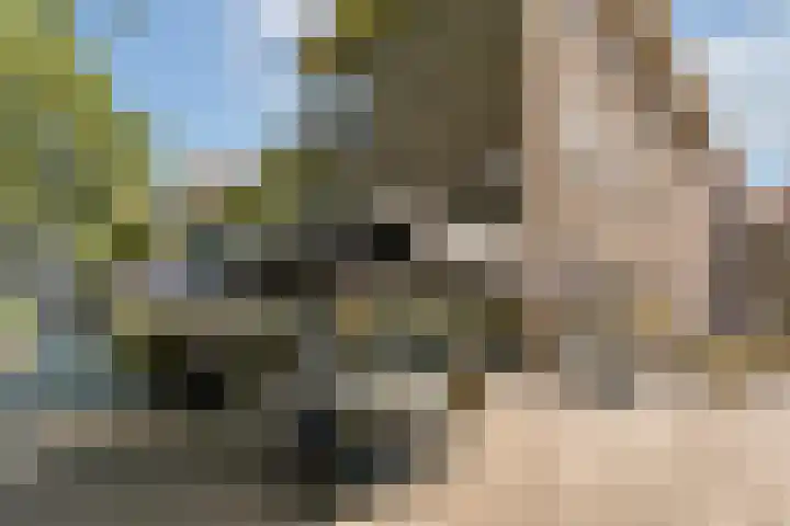 Orteliuskade 10 1 Amsterdam thumbnail 19