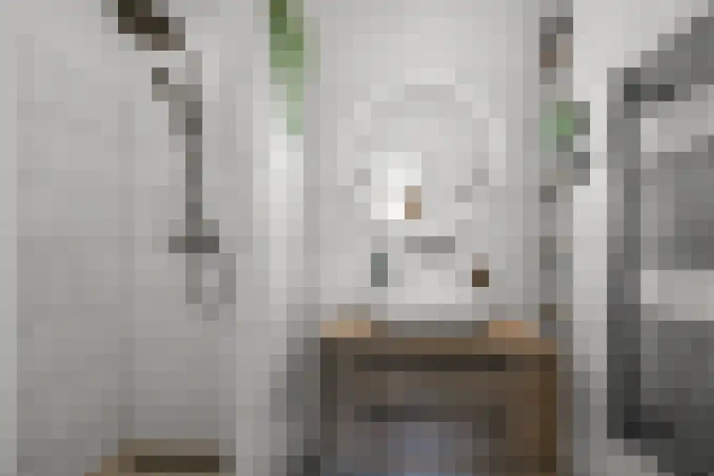 Orteliuskade 15 2 Amsterdam thumbnail 31