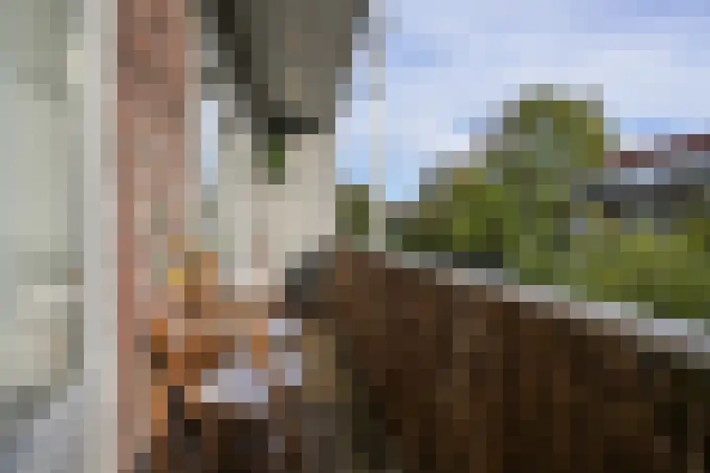 Orteliuskade 15 2 Amsterdam thumbnail 32