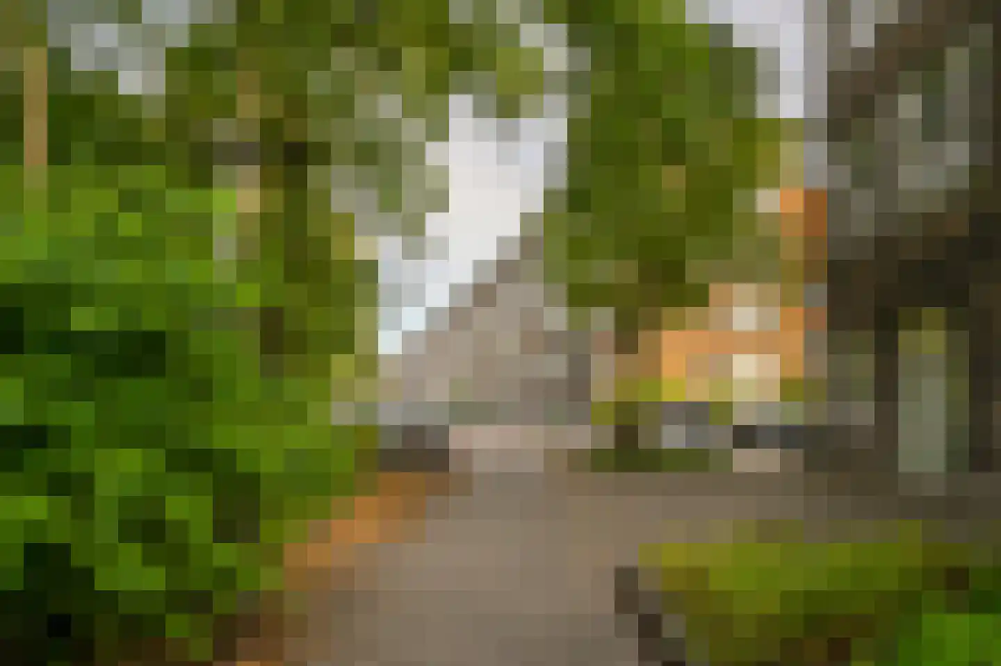 Orteliuskade 15 2 Amsterdam thumbnail 35