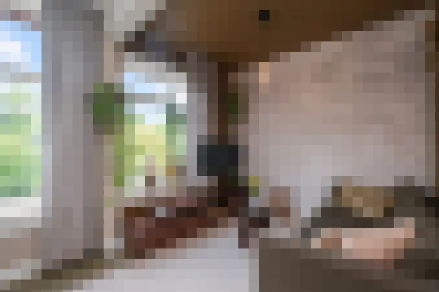 Orteliuskade 15 2 Amsterdam thumbnail 4