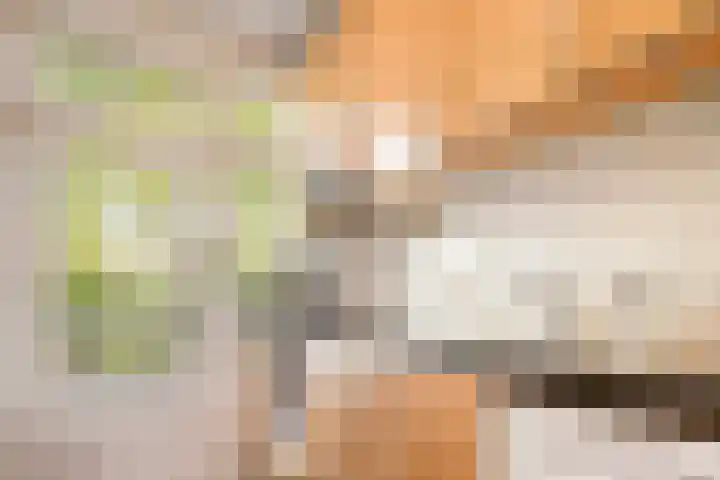 Orteliuskade 25 H Amsterdam thumbnail 17
