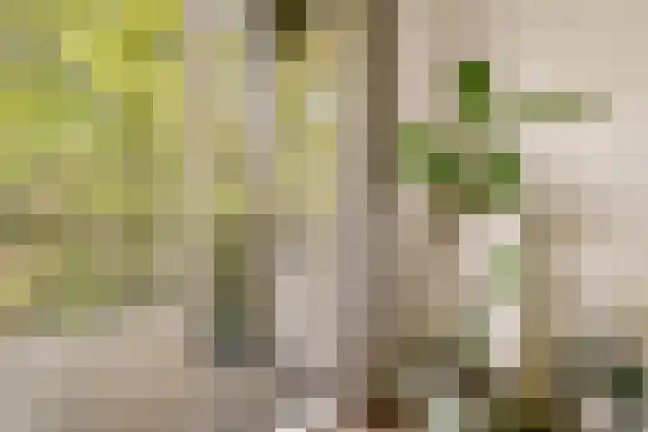 Orteliuskade 25 H Amsterdam thumbnail 22