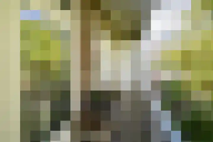 Orteliuskade 25 H Amsterdam thumbnail 23