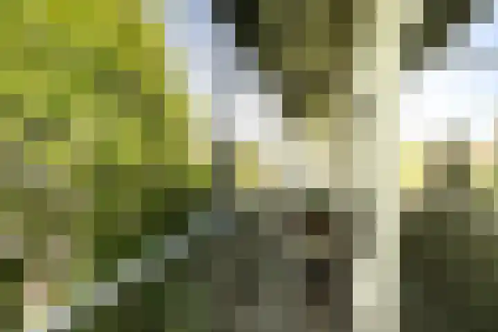 Orteliuskade 25 H Amsterdam thumbnail 25