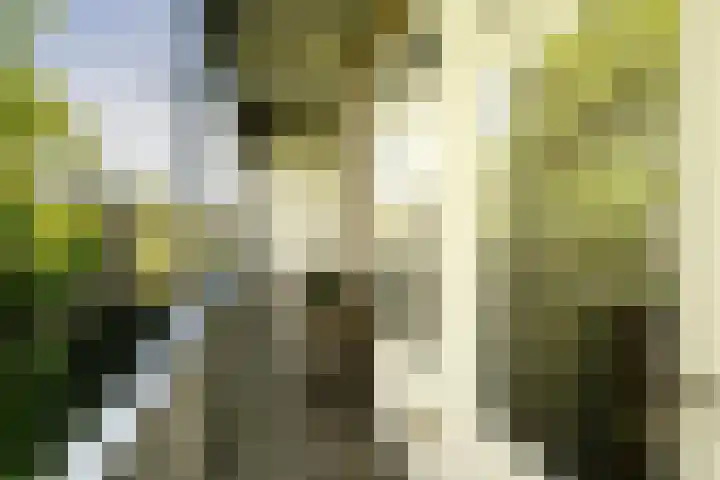 Orteliuskade 25 H Amsterdam thumbnail 26