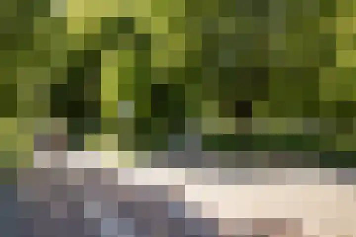 Orteliuskade 25 H Amsterdam thumbnail 36