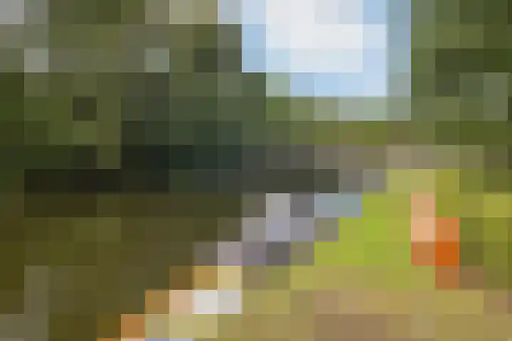 Orteliuskade 25 H Amsterdam thumbnail 39