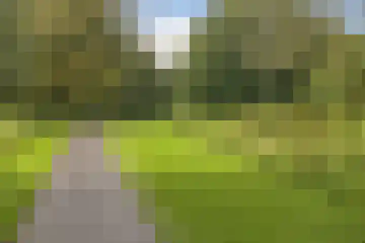 Orteliuskade 25 H Amsterdam thumbnail 40