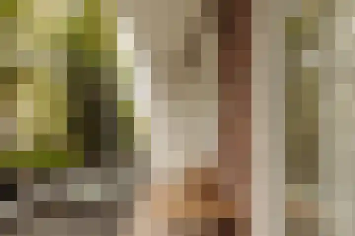 Orteliuskade 26 2 Amsterdam thumbnail 16
