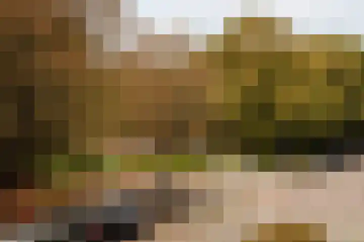Orteliuskade 26 2 Amsterdam thumbnail 21
