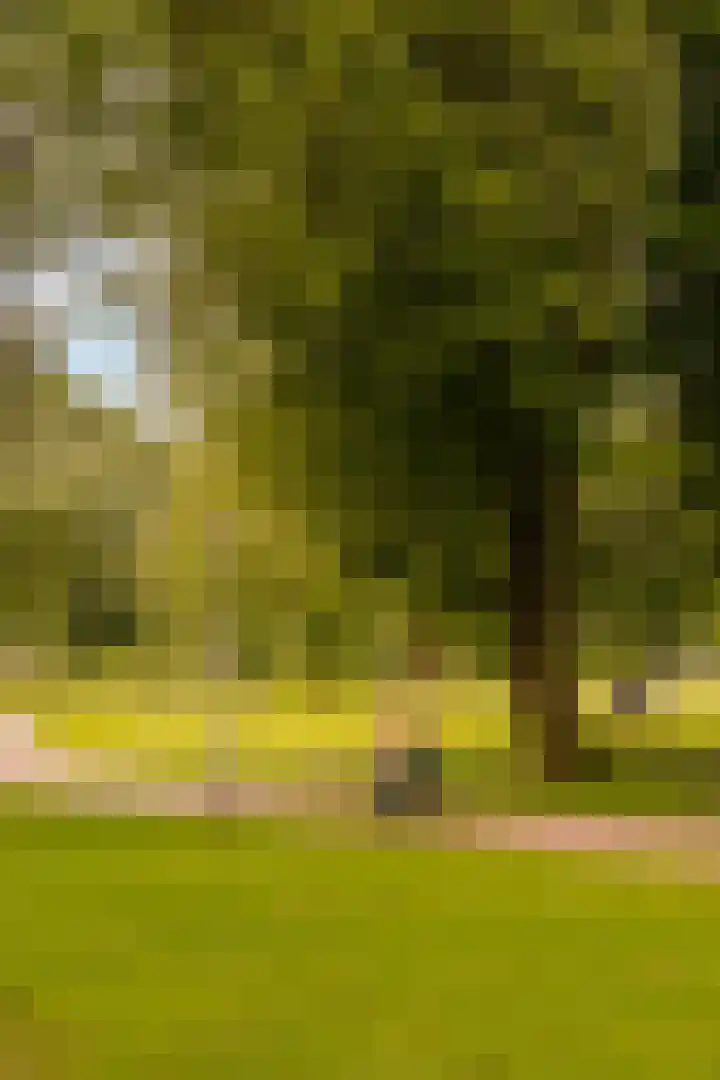 Orteliuskade 26 2 Amsterdam thumbnail 25