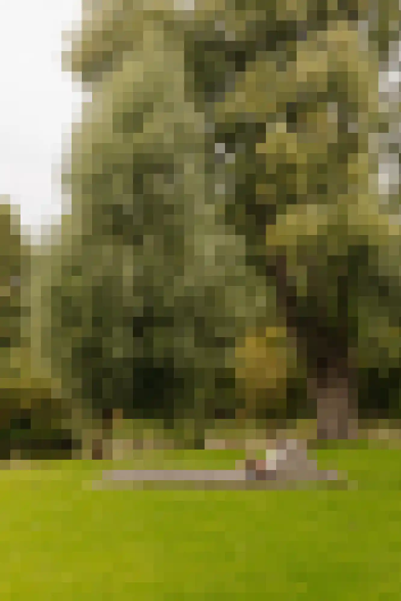 Orteliuskade 26 2 Amsterdam thumbnail 26