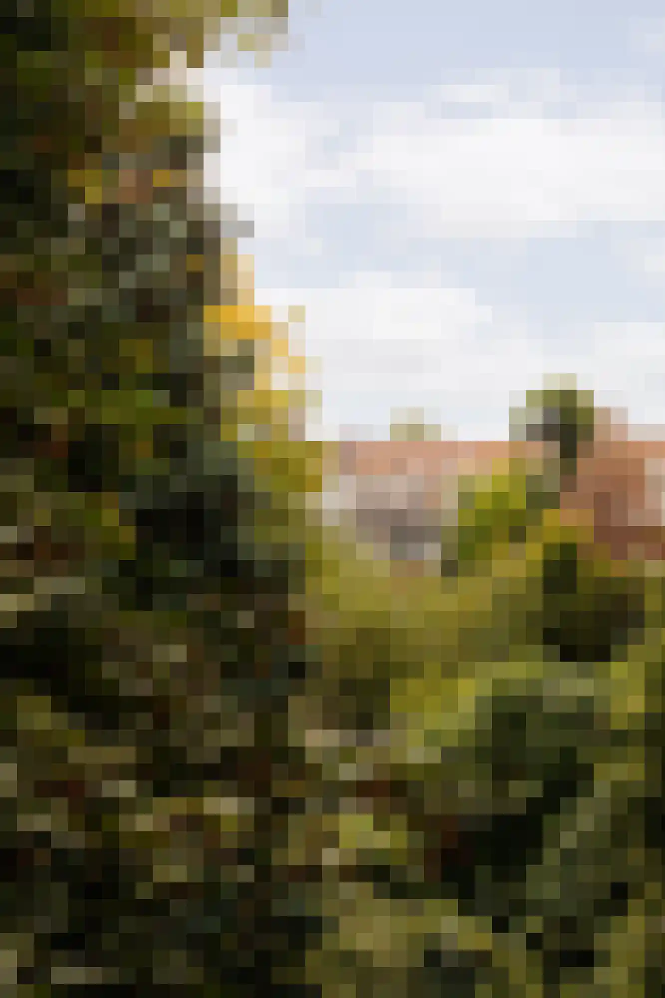 Orteliuskade 26 2 Amsterdam thumbnail 27
