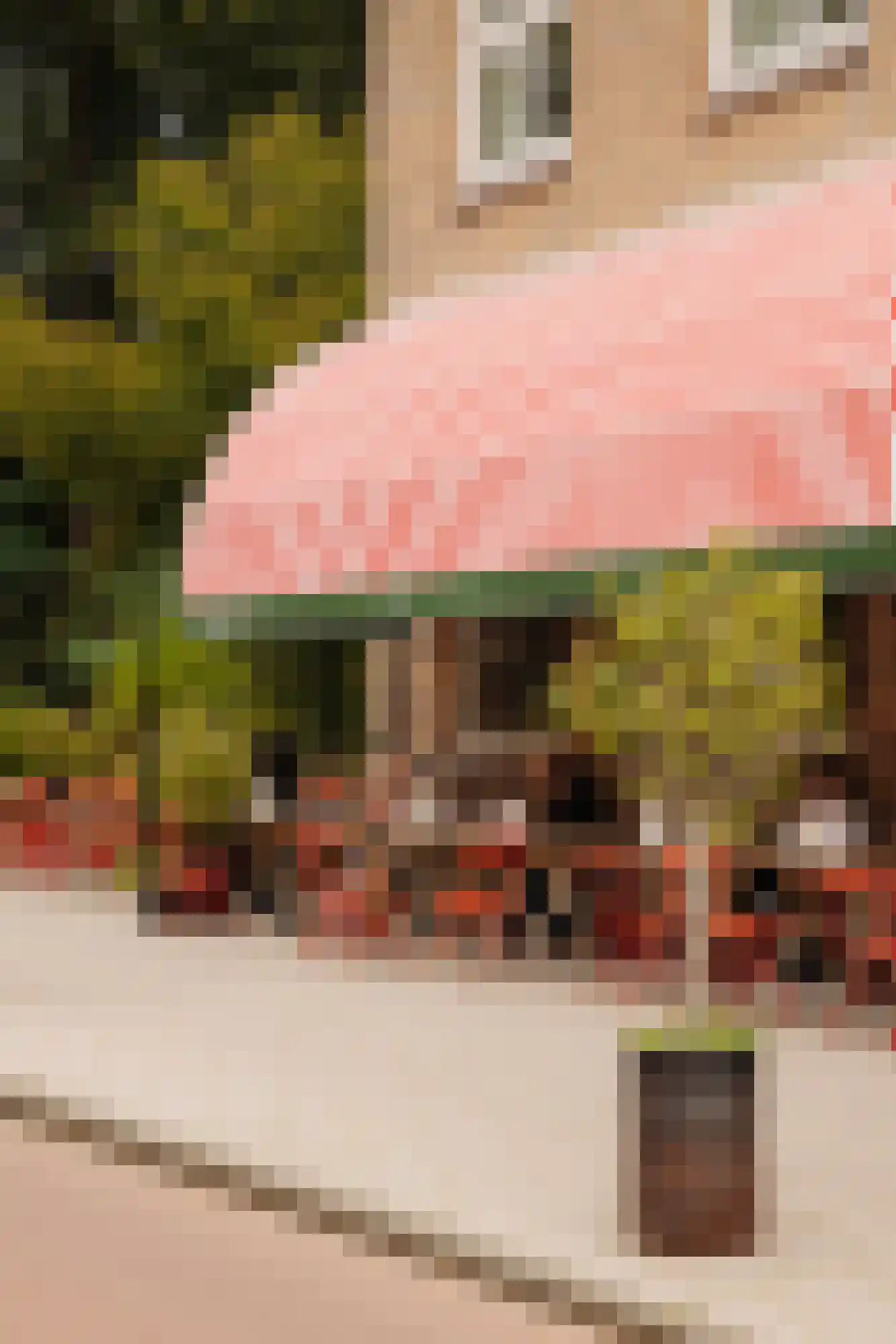Orteliuskade 26 2 Amsterdam thumbnail 31