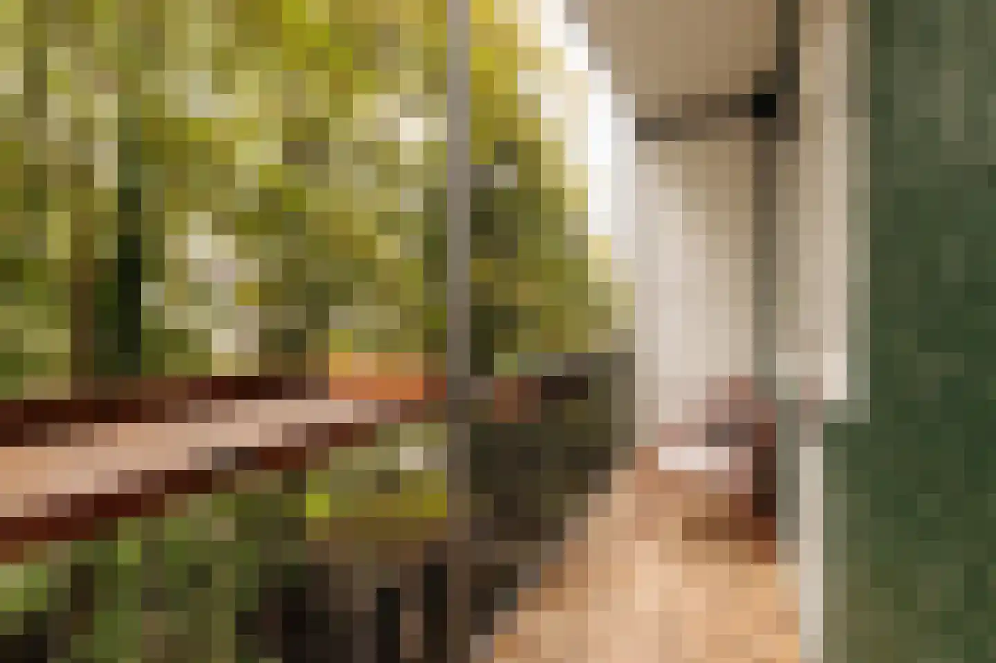 Orteliuskade 26 2 Amsterdam thumbnail 5