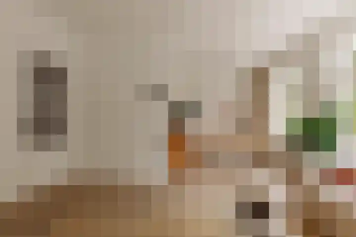 Orteliuskade 26 2 Amsterdam thumbnail 6