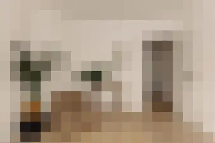 Orteliuskade 26 2 Amsterdam thumbnail 9