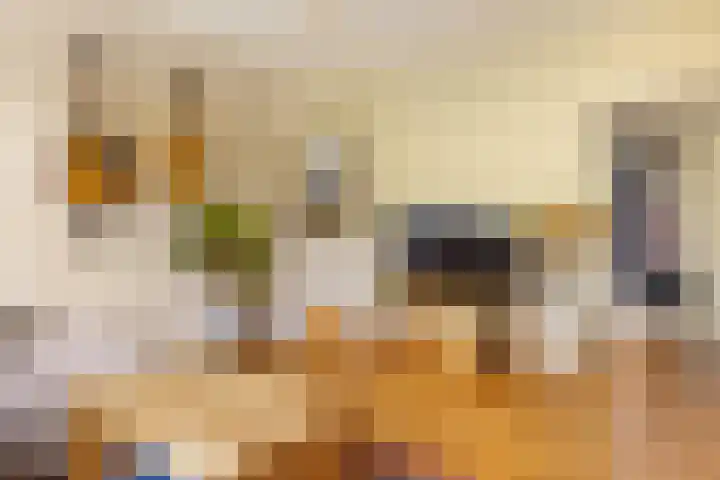 Orteliuskade 30 1 Amsterdam thumbnail 6