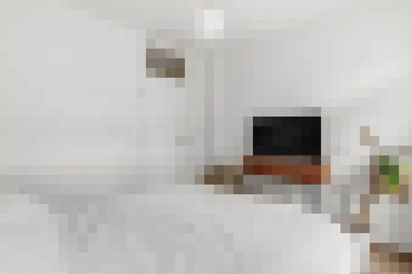 Orteliuskade 36 3 Amsterdam thumbnail 24