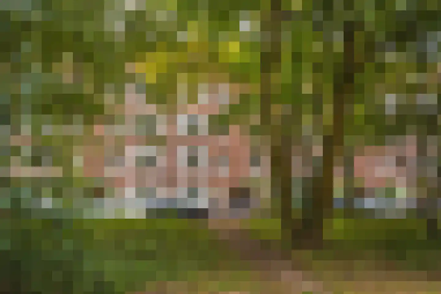 Orteliuskade 36 3 Amsterdam thumbnail 6