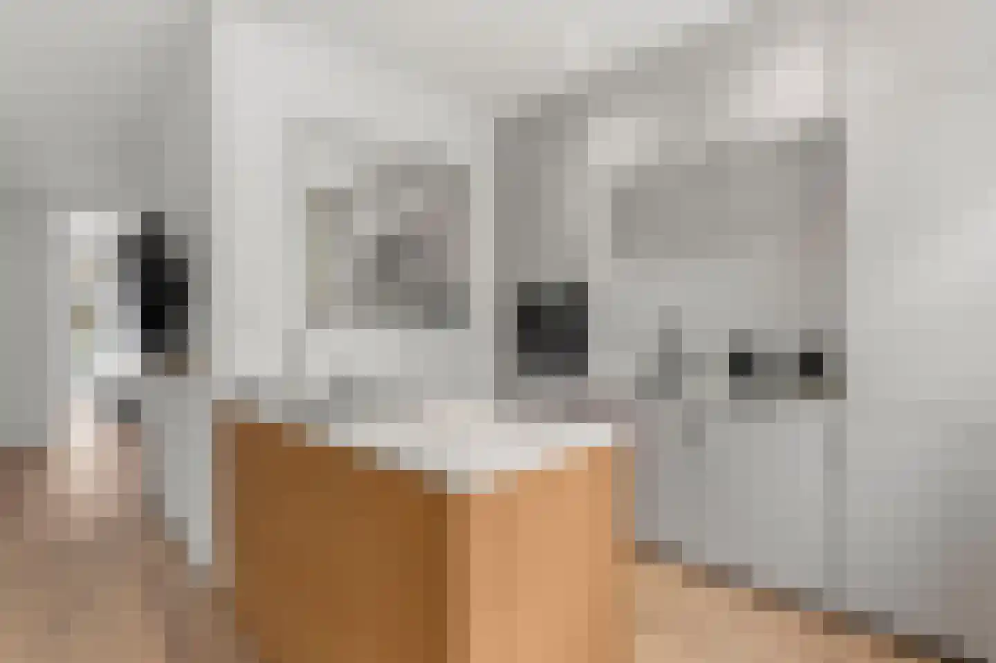 Orteliuskade 36 3 Amsterdam thumbnail 9