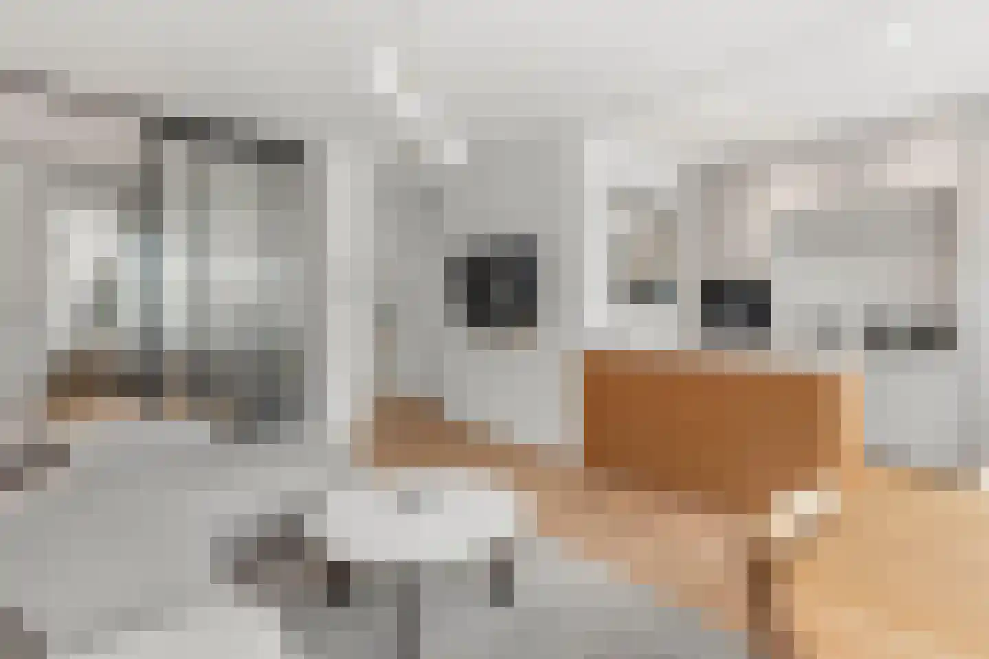 Orteliuskade 36 H Amsterdam thumbnail 14