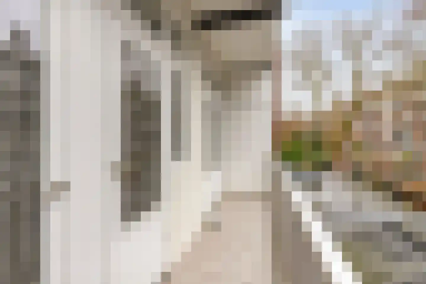 Orteliuskade 36 H Amsterdam thumbnail 25