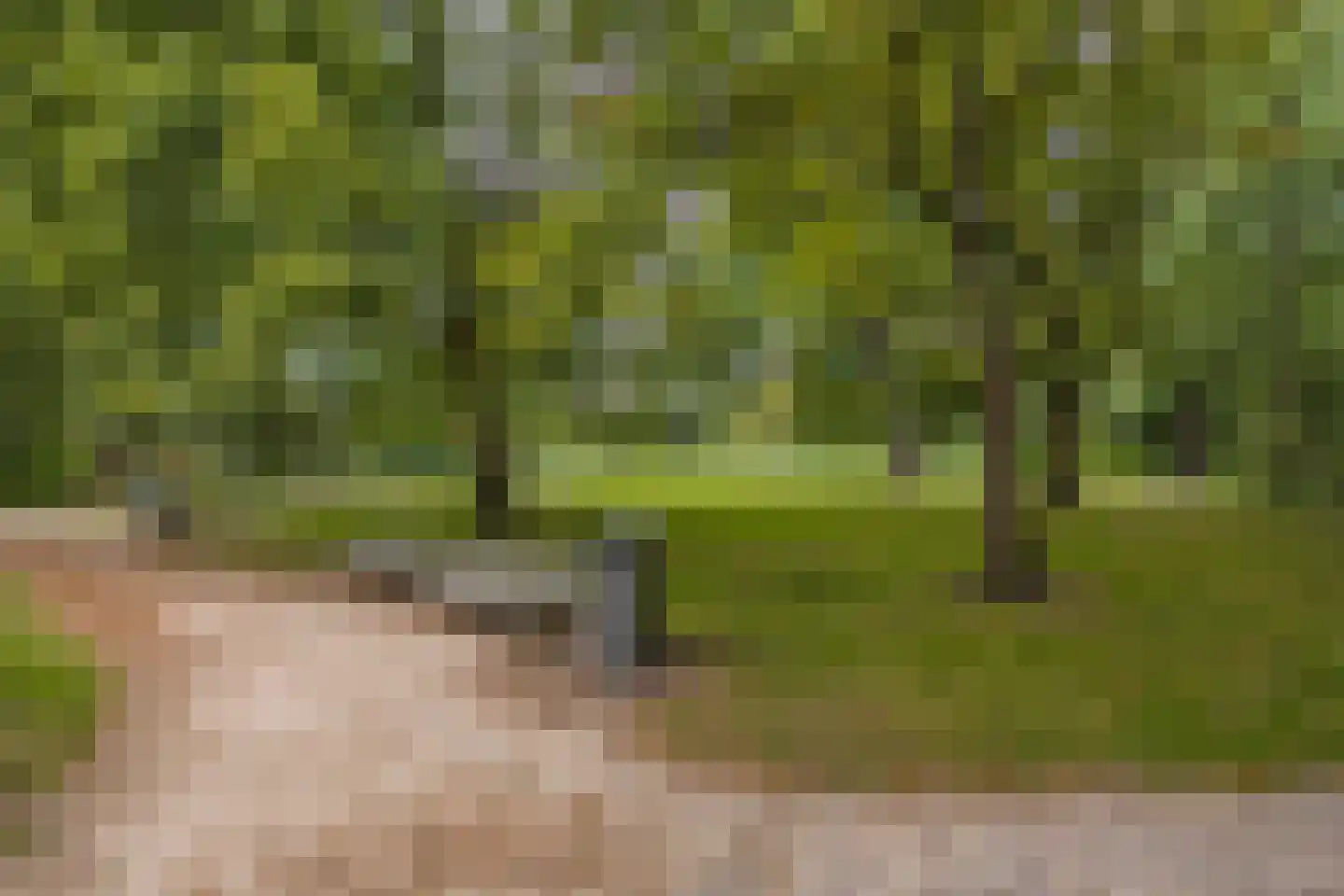 Orteliuskade 36 H Amsterdam thumbnail 34