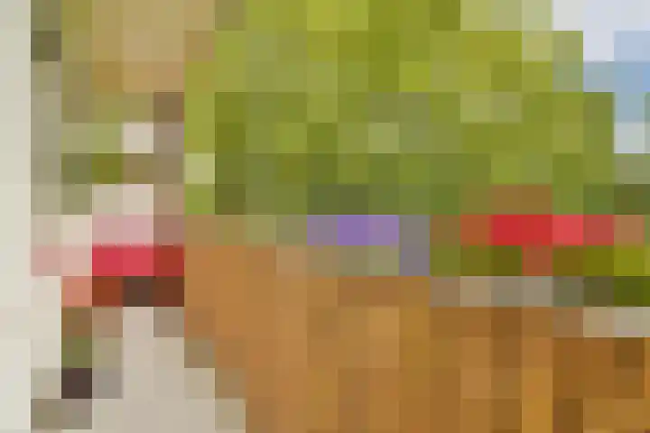Orteliuskade 39 1 Amsterdam thumbnail 13