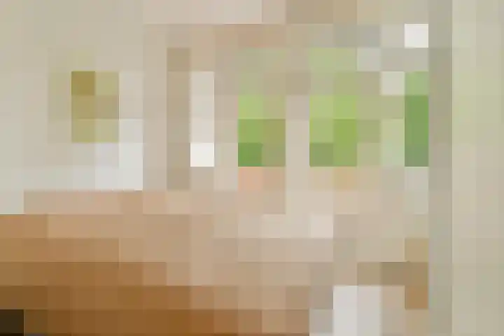 Orteliuskade 39 1 Amsterdam thumbnail 15