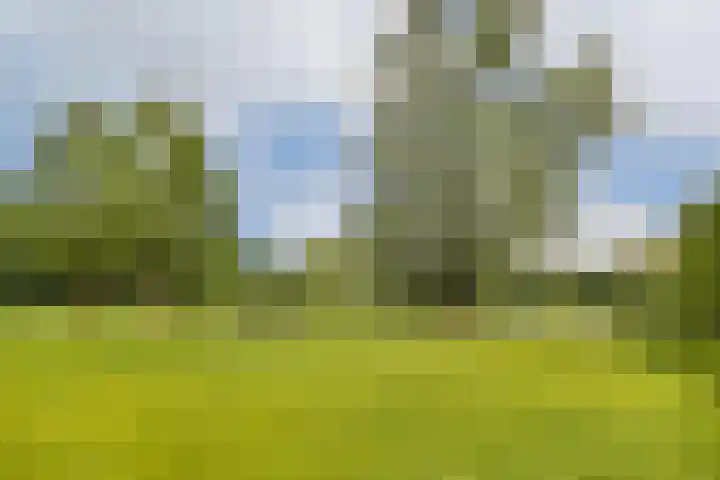 Orteliuskade 39 1 Amsterdam thumbnail 23