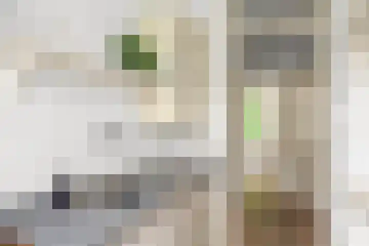 Orteliuskade 43 H Amsterdam thumbnail 13