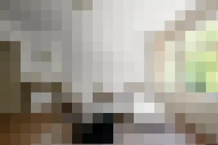 Orteliuskade 43 H Amsterdam thumbnail 5