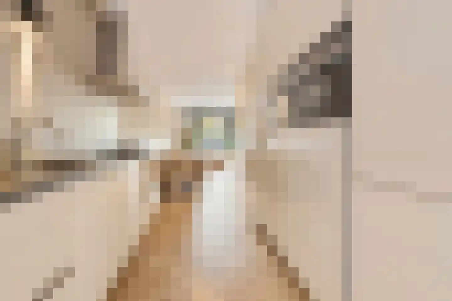 Orteliuskade 49 2 Amsterdam thumbnail 10